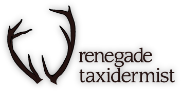 renegade taxidermist
